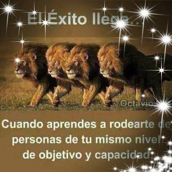 ricardoalons884